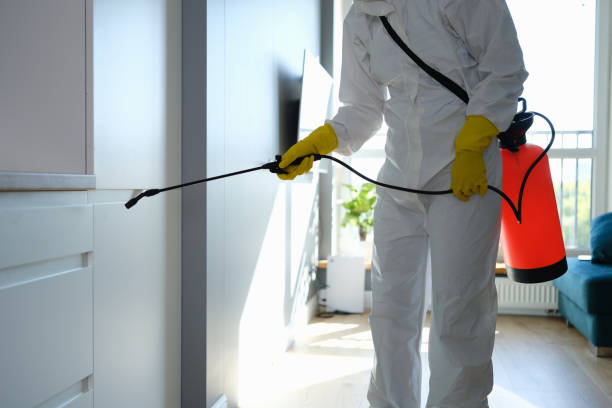 Ponderay, ID Mold Removal Company