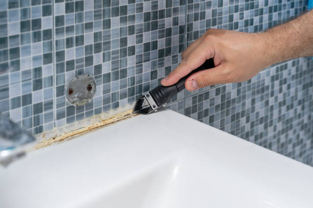 Mold Removal Process in Ponderay, ID