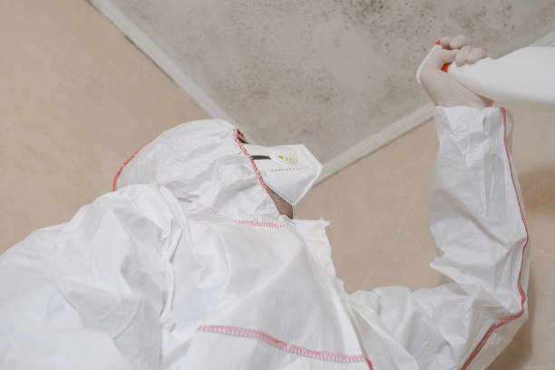 Best Certified Mold Removal  in Ponderay, ID