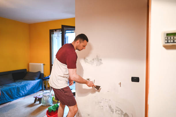 Best Mold Damage Repair  in Ponderay, ID