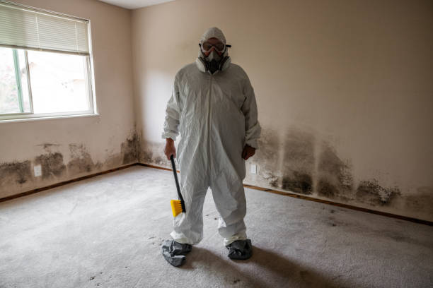 Certified Mold Removal in Ponderay, ID